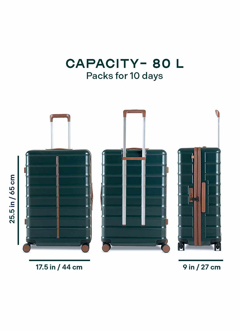 Odyssey | Forest | Medium Hard Luggage