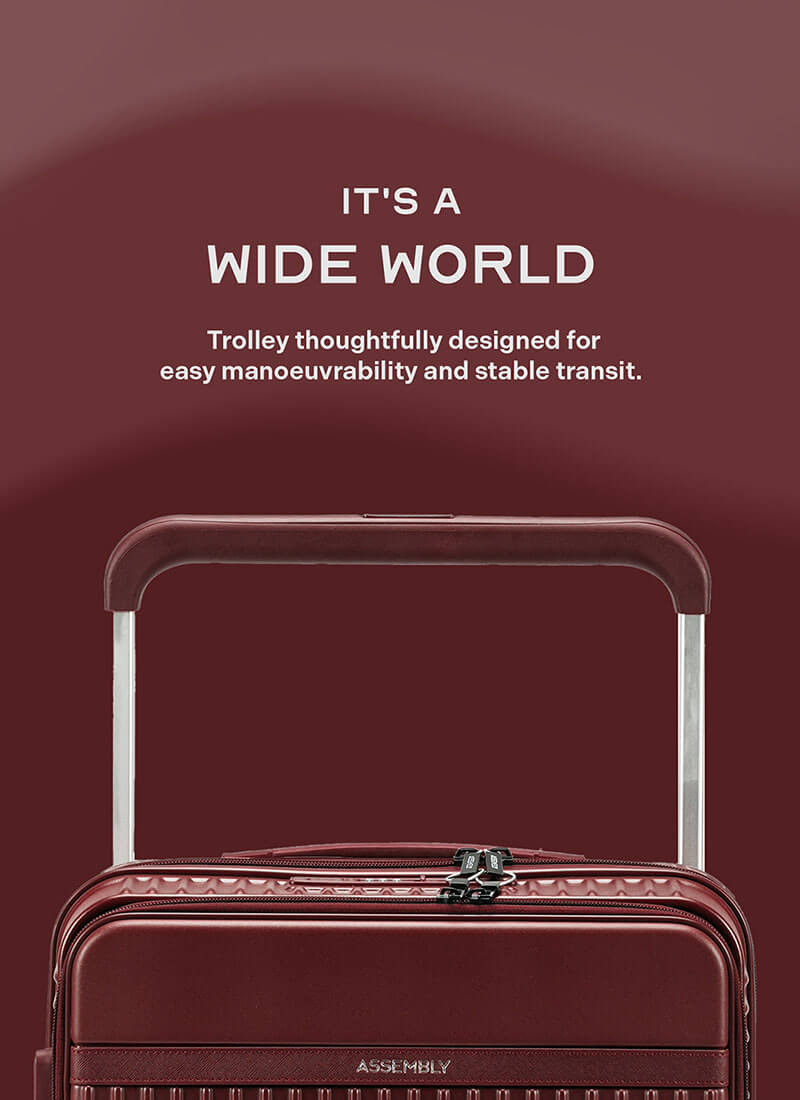 Rover Pro Combo | Wine | Set of 3 Luggage