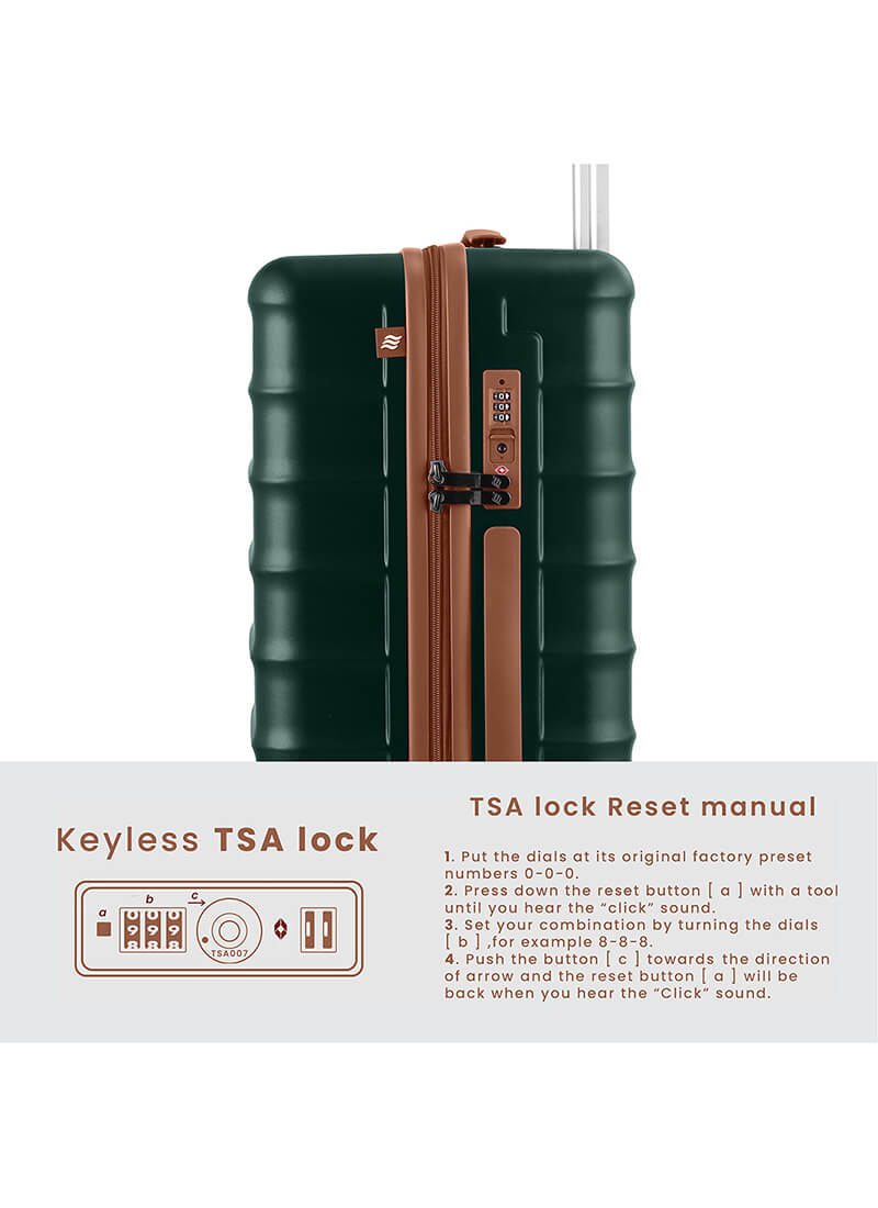 Odyssey Combo | Forest | Medium+Large Hard Luggage