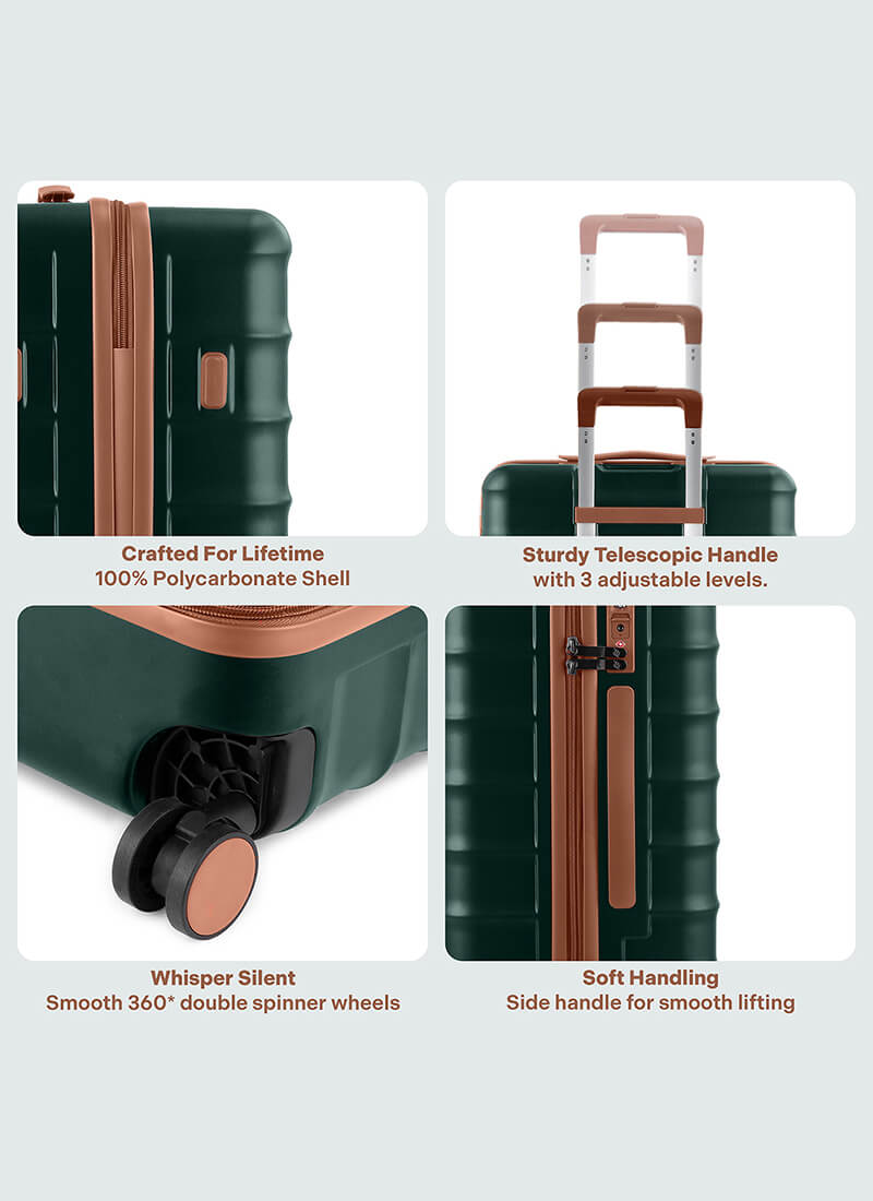 Odyssey Combo | Forest | Set of 3 Hard Luggage