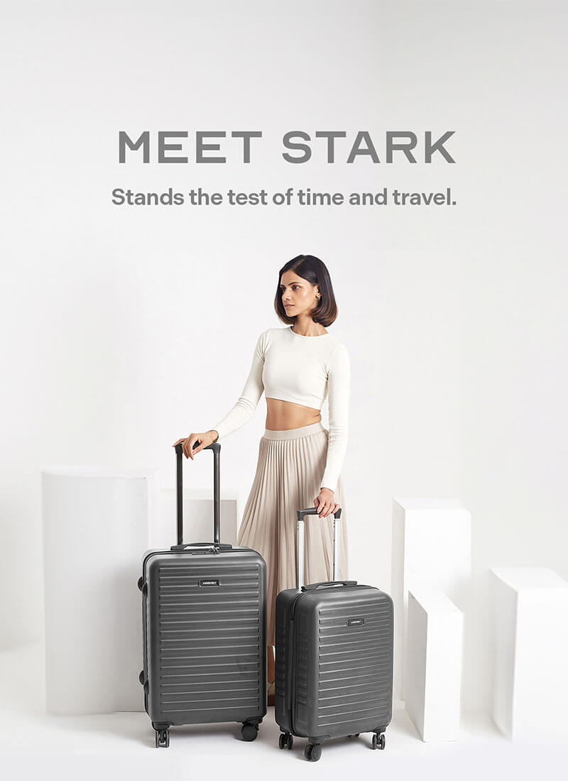 Stark Combo | Grey | Cabin+Medium Hard Luggage