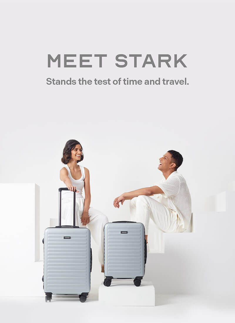 Stark Combo | Silver | Cabin+Medium Hard Luggage