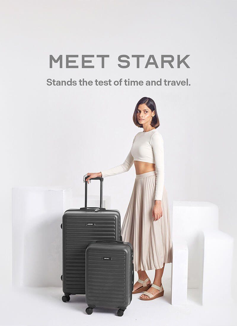 Stark Combo | Grey | Cabin+Large Hard Luggage