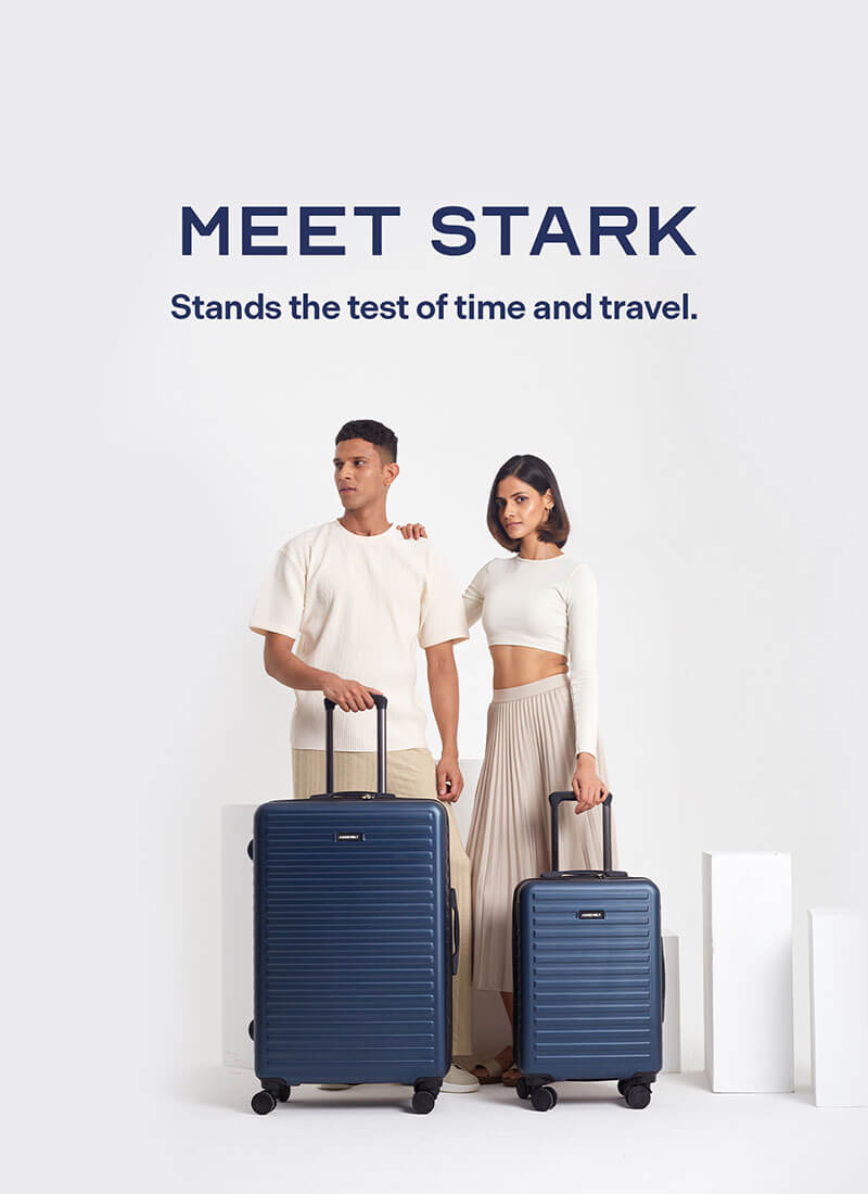 Stark Combo | Blue | Cabin+Large Hard Luggage