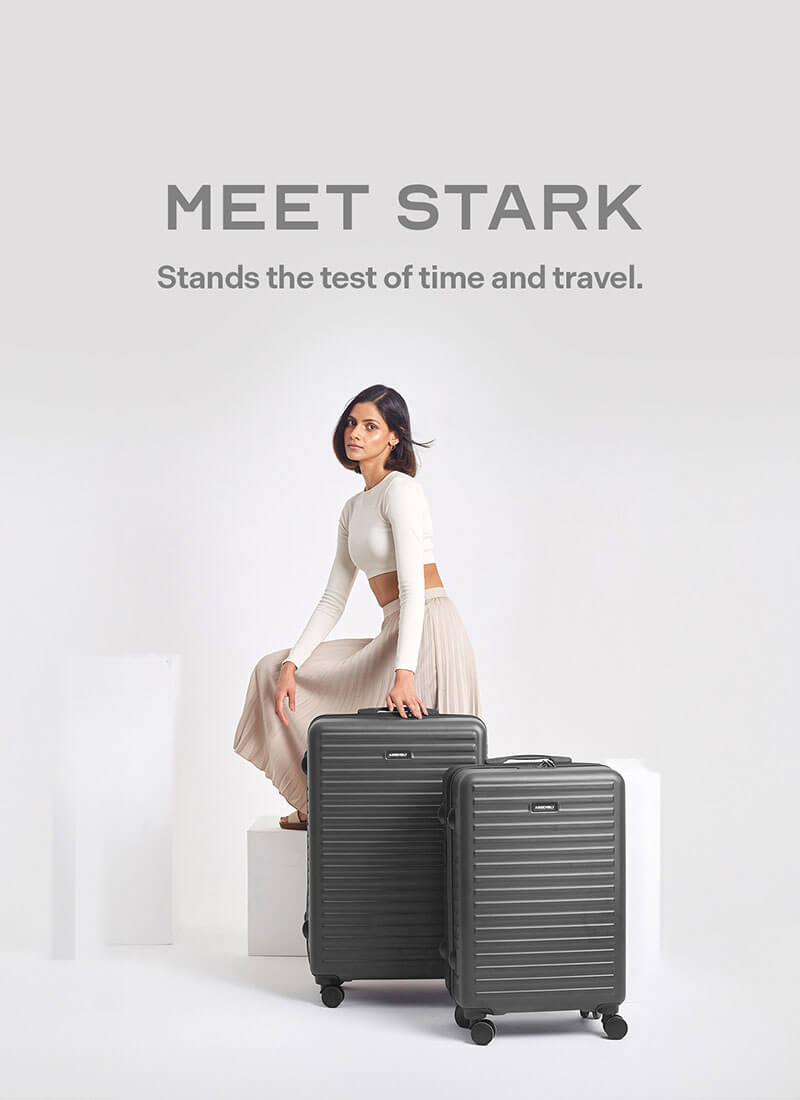 Stark Combo | Grey | Medium+Large Hard Luggage