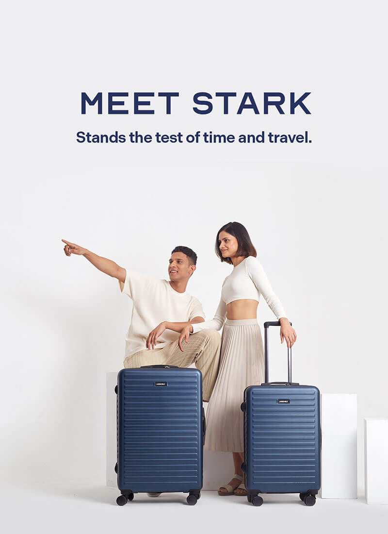 Stark Combo | Blue | Medium+Large Hard Luggage