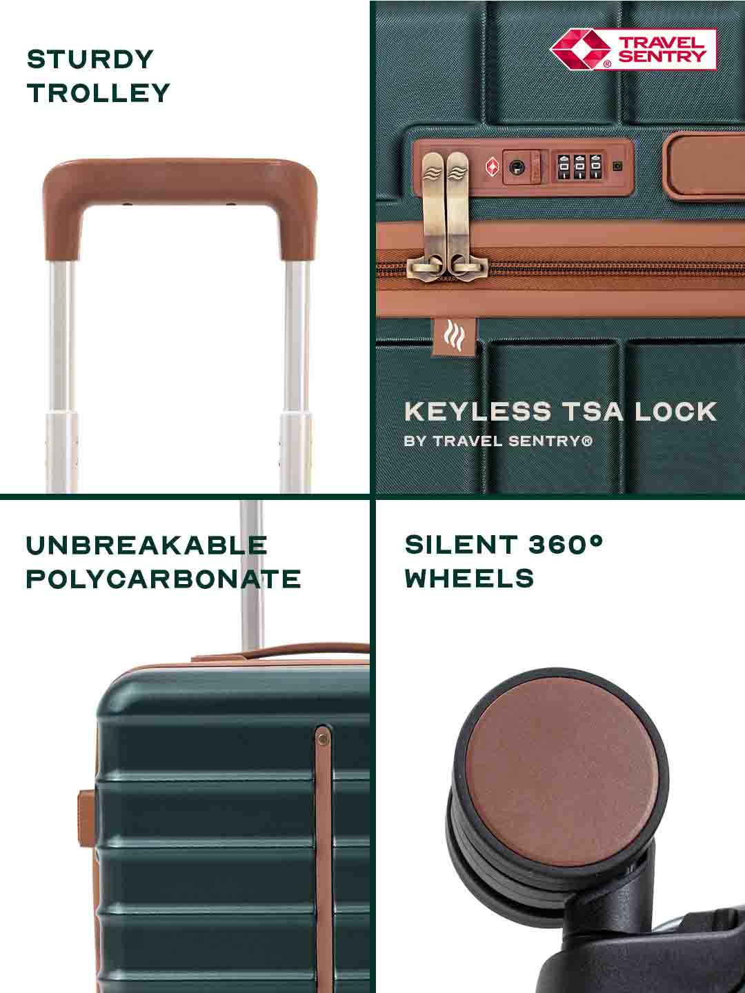 Odyssey Combo | Forest | Set of 3 Hard Luggage | Buy Set of 3