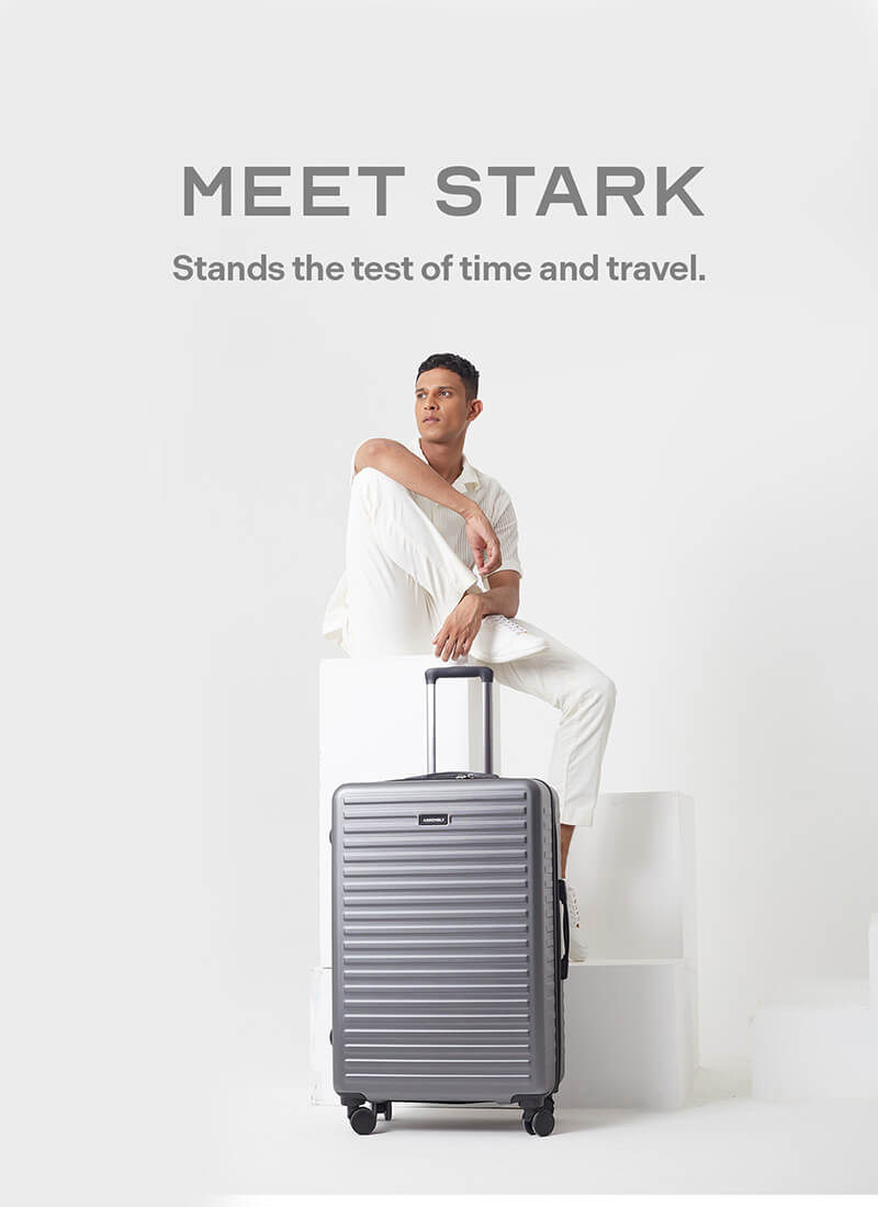 Stark | Grey | Large Hard Luggage