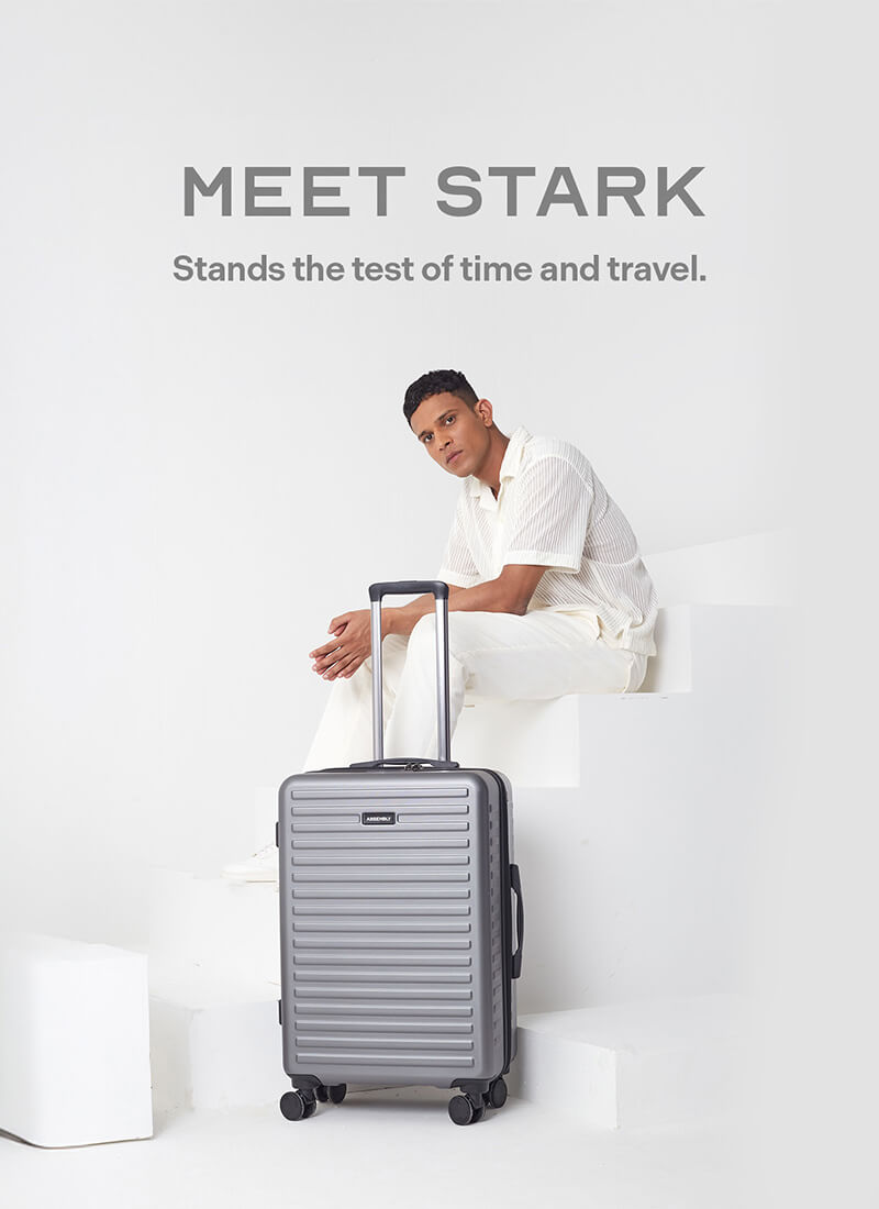 Stark | Grey | Medium Hard Luggage