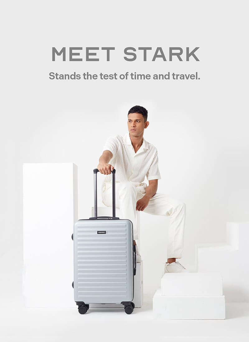 Stark | Silver | Medium Hard Luggage