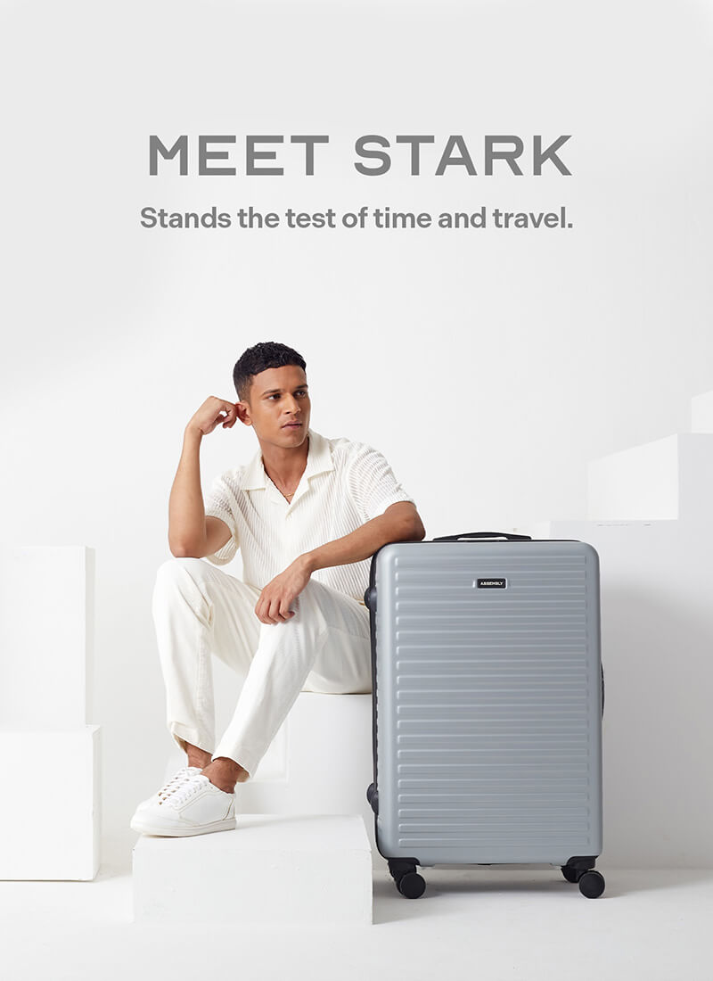 Stark | Silver | Large Hard Luggage