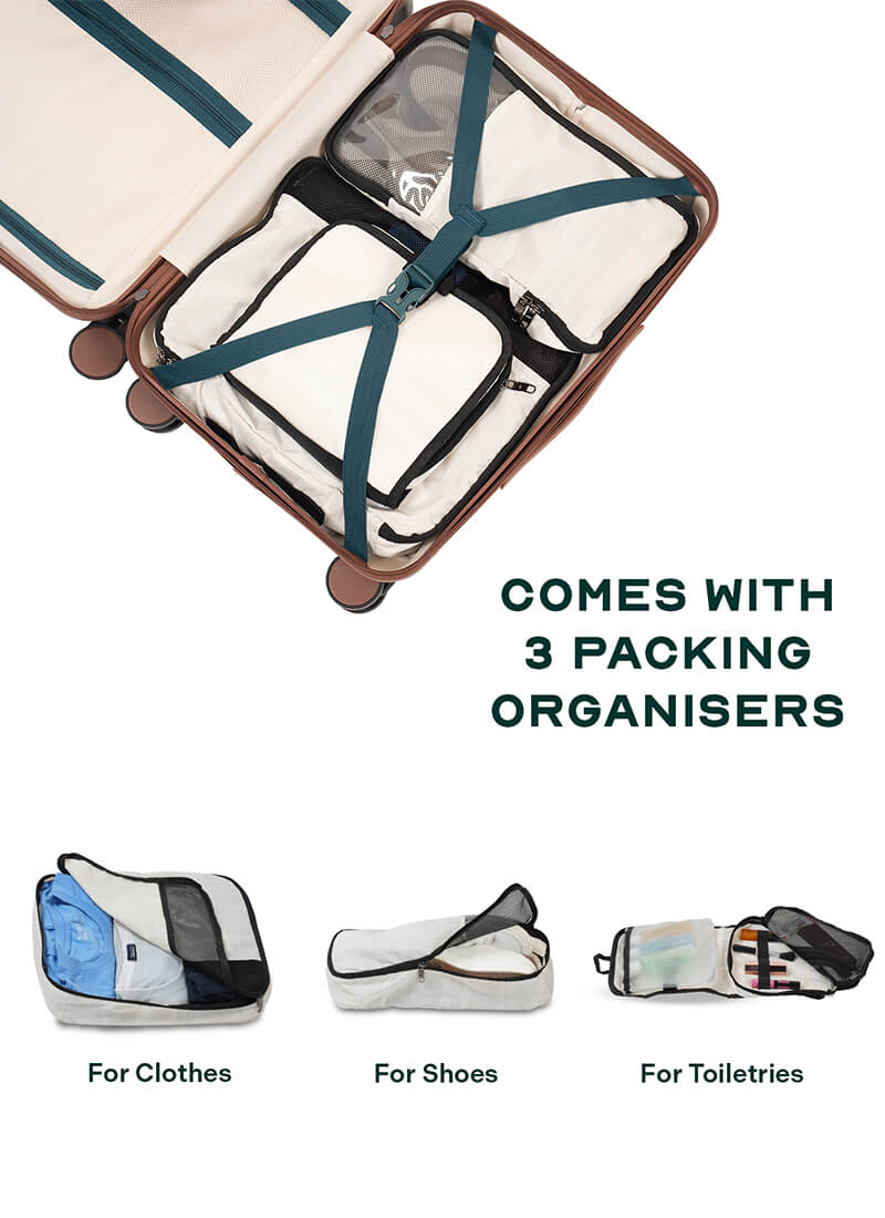 Odyssey Combo | Forest | Set of 3 Hard Luggage