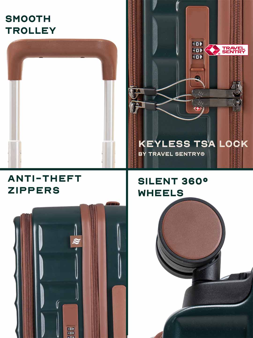 Buy OdysseyPro | Forest | Cabin Hard Luggage – Cabin Hard Luggage Online in India | Assembly