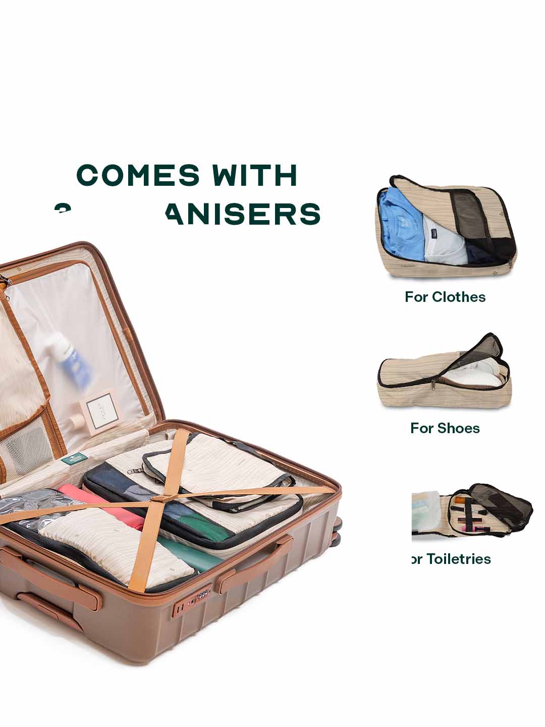 Odyssey | Brown | Cabin Hard Luggage