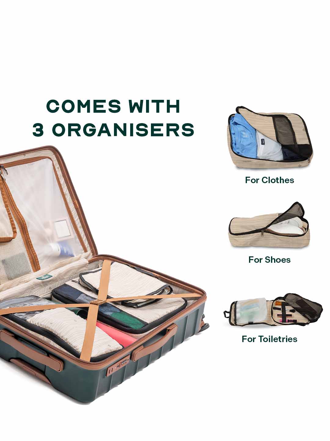 Odyssey Combo | Forest | Cabin+Medium Hard Luggage