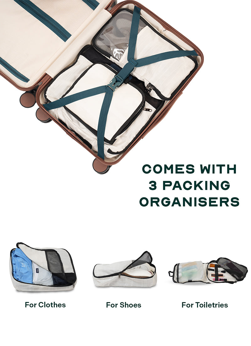 Odyssey Combo | Forest | Medium+Large Hard Luggage