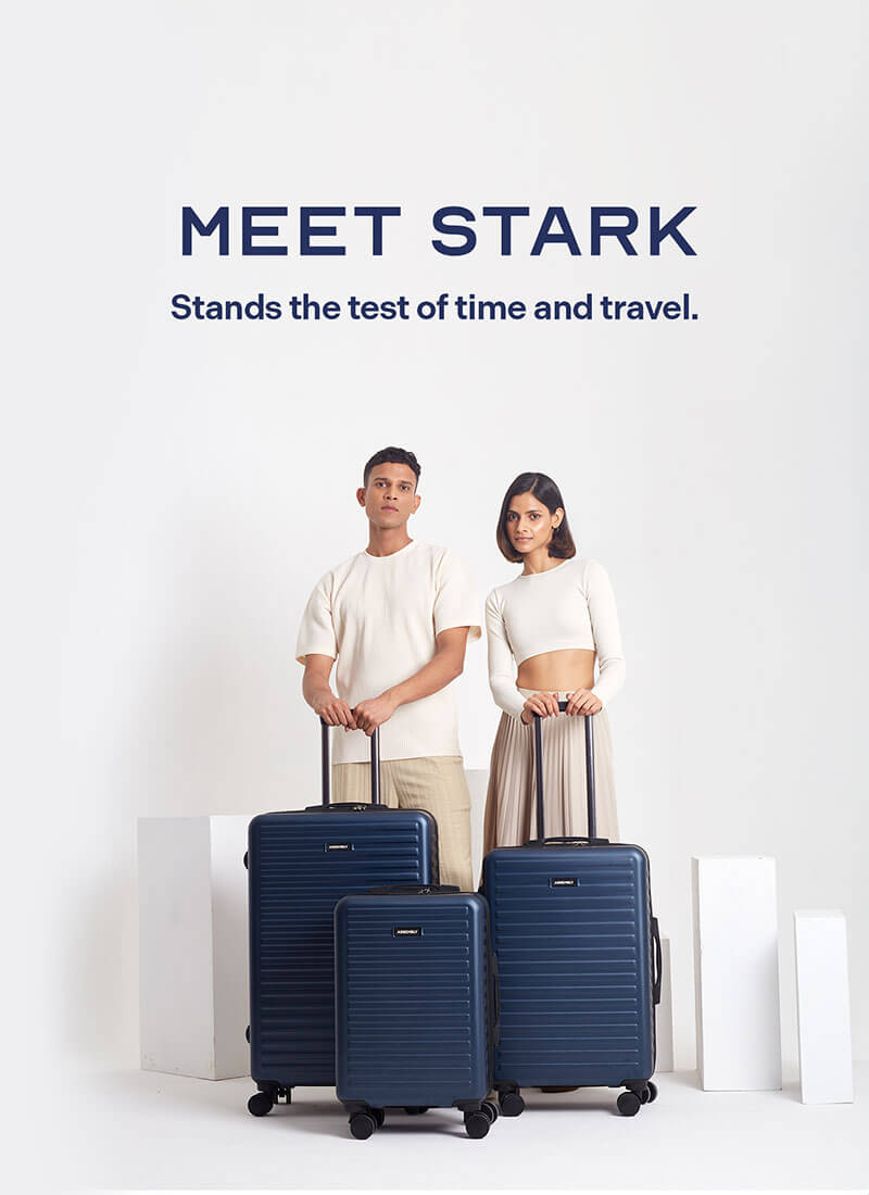 Stark Combo | Blue | Set of 3 Luggage