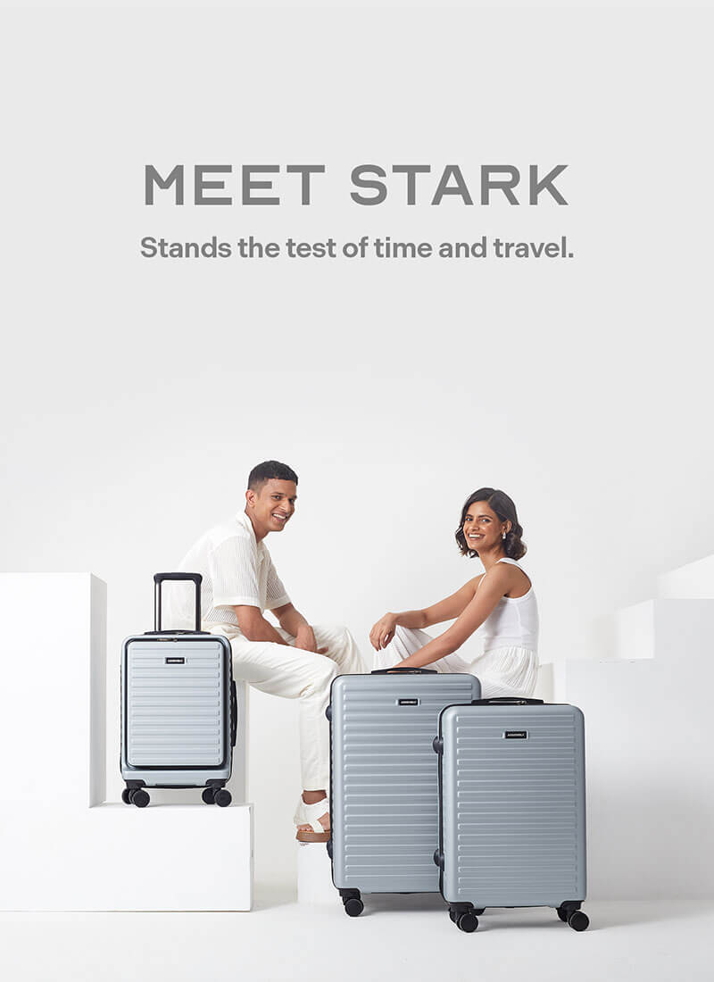 StarkPro Combo | Silver | Set of 3 Luggage